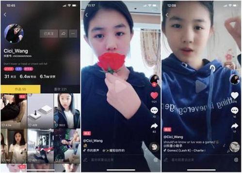 演艺圈明星系列长篇 抖音网红爆料网站大全,明星系列长篇与抖音网红爆料网站大盘点